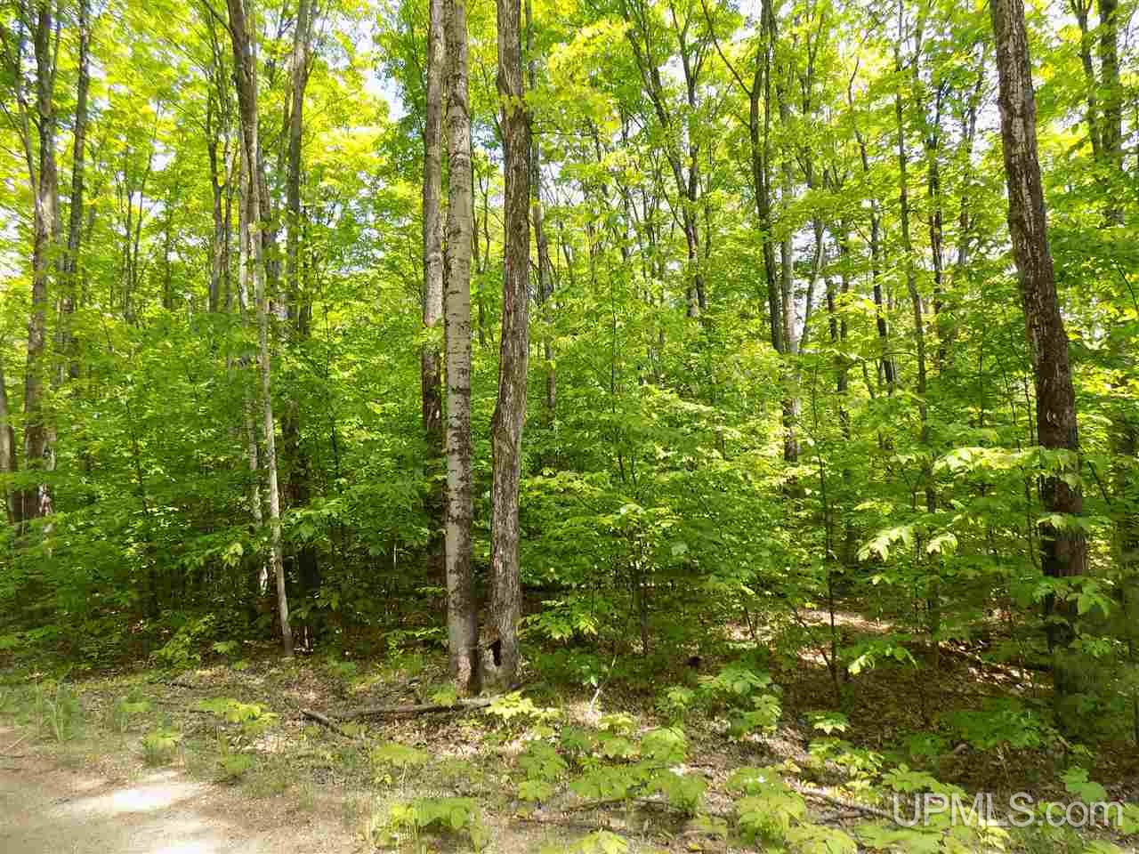 Tbd Aldrich Road Manistique, MI 49854 - Photo 10 of 11 Gallery Image 10