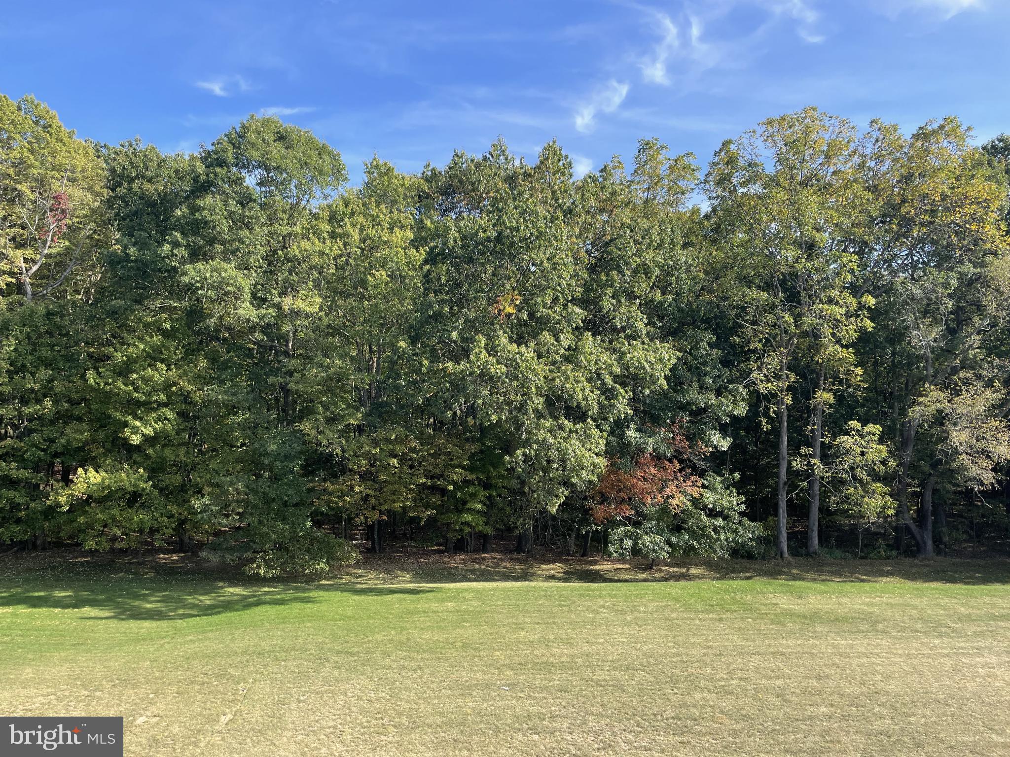 156 Brothers Court Port Matilda, PA 16870 - Photo 17 of 60 Trees are included for free! Massive flat lot!