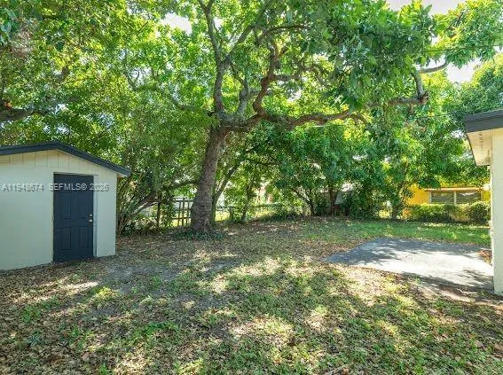 a view of a yard with a tree