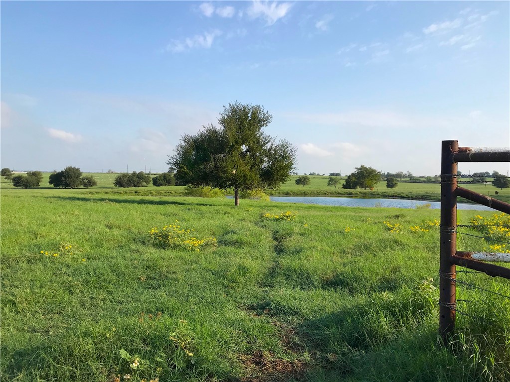 a view of a grassy field with trees