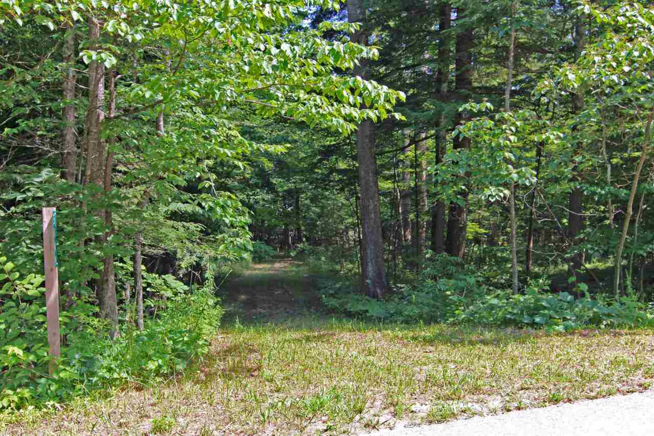 5044 Omena Point Road Omena, MI 49674 - Photo 6 of 44 1835774-5.JPG