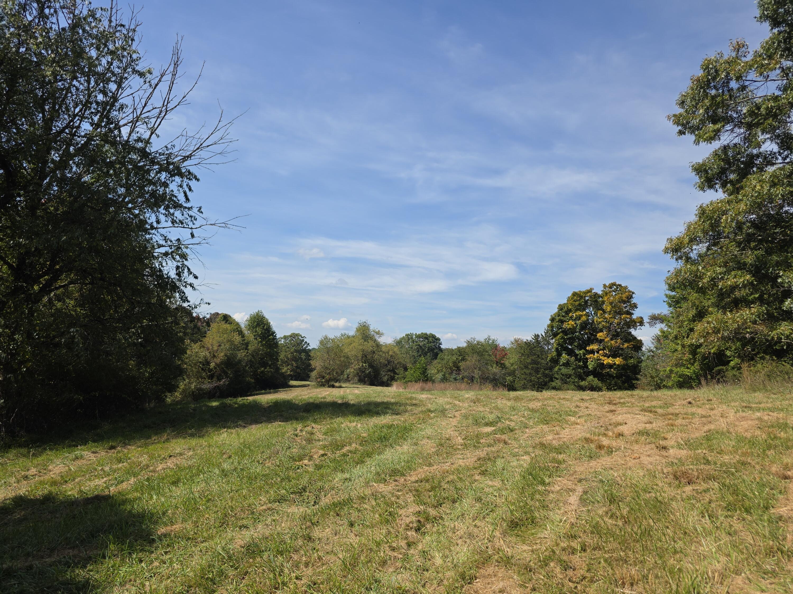 Tbd Ridge Road Northeast Pilot, VA 24138 - Photo 19 of 25 20261002_124642