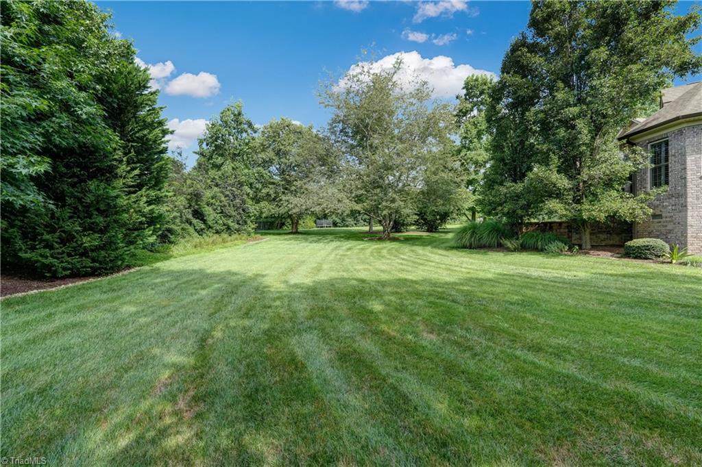 1456 Bethan Drive Summerfield, NC 27358 - Photo 40 of 50