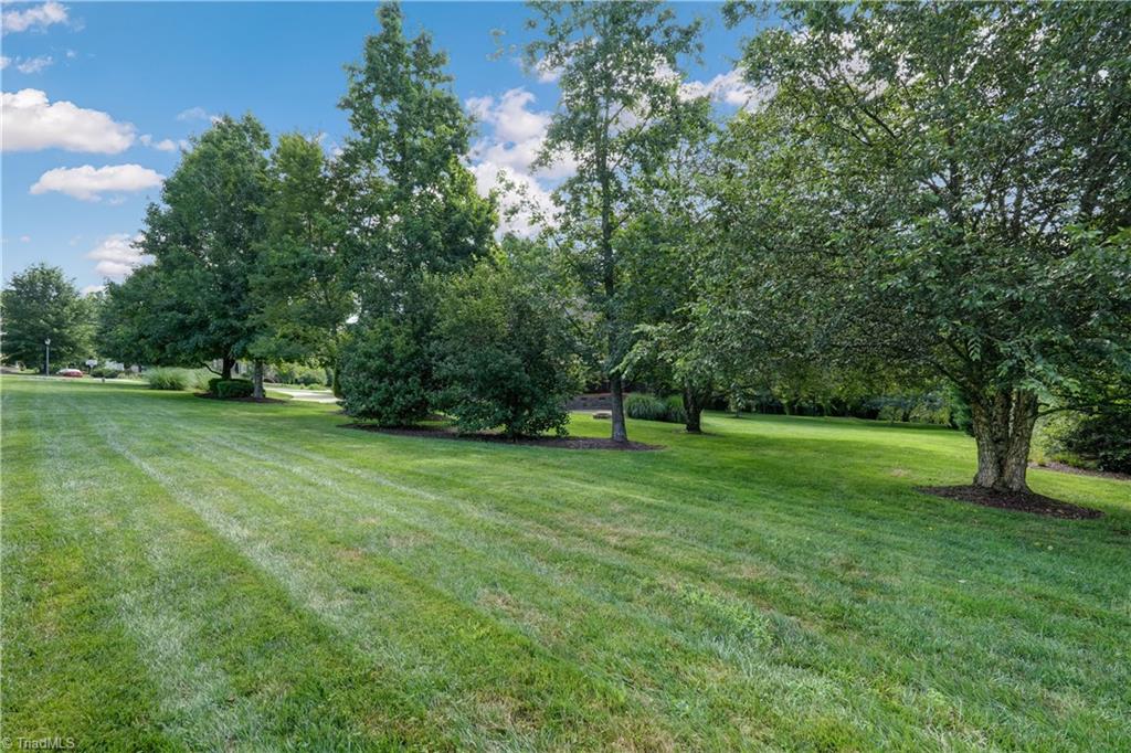 1456 Bethan Drive Summerfield, NC 27358 - Photo 41 of 50