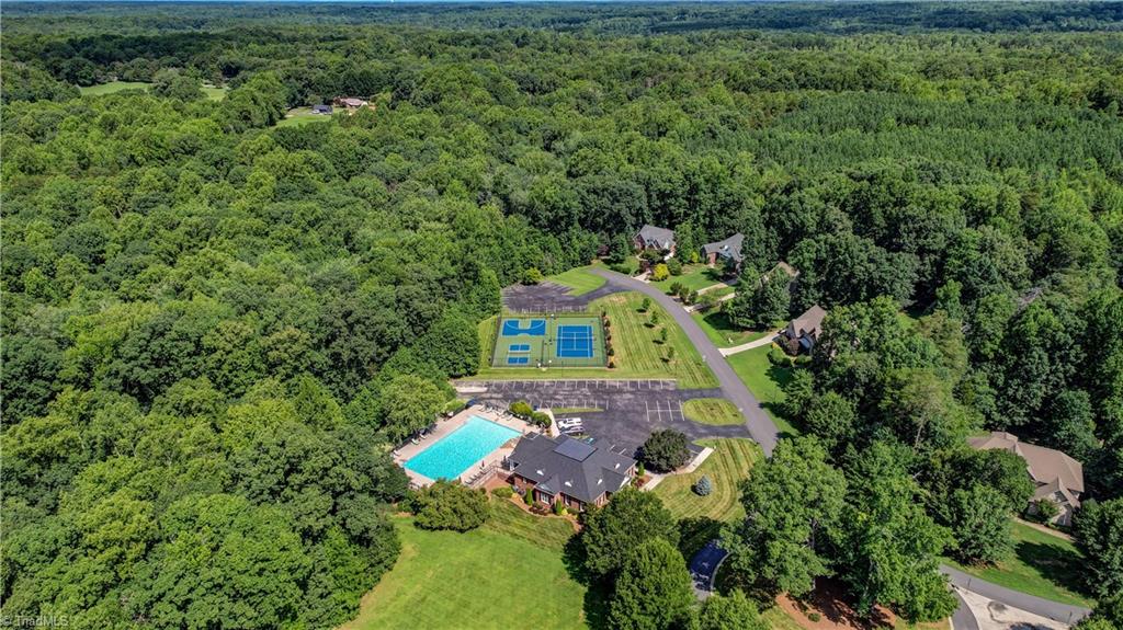 1456 Bethan Drive Summerfield, NC 27358 - Photo 50 of 50