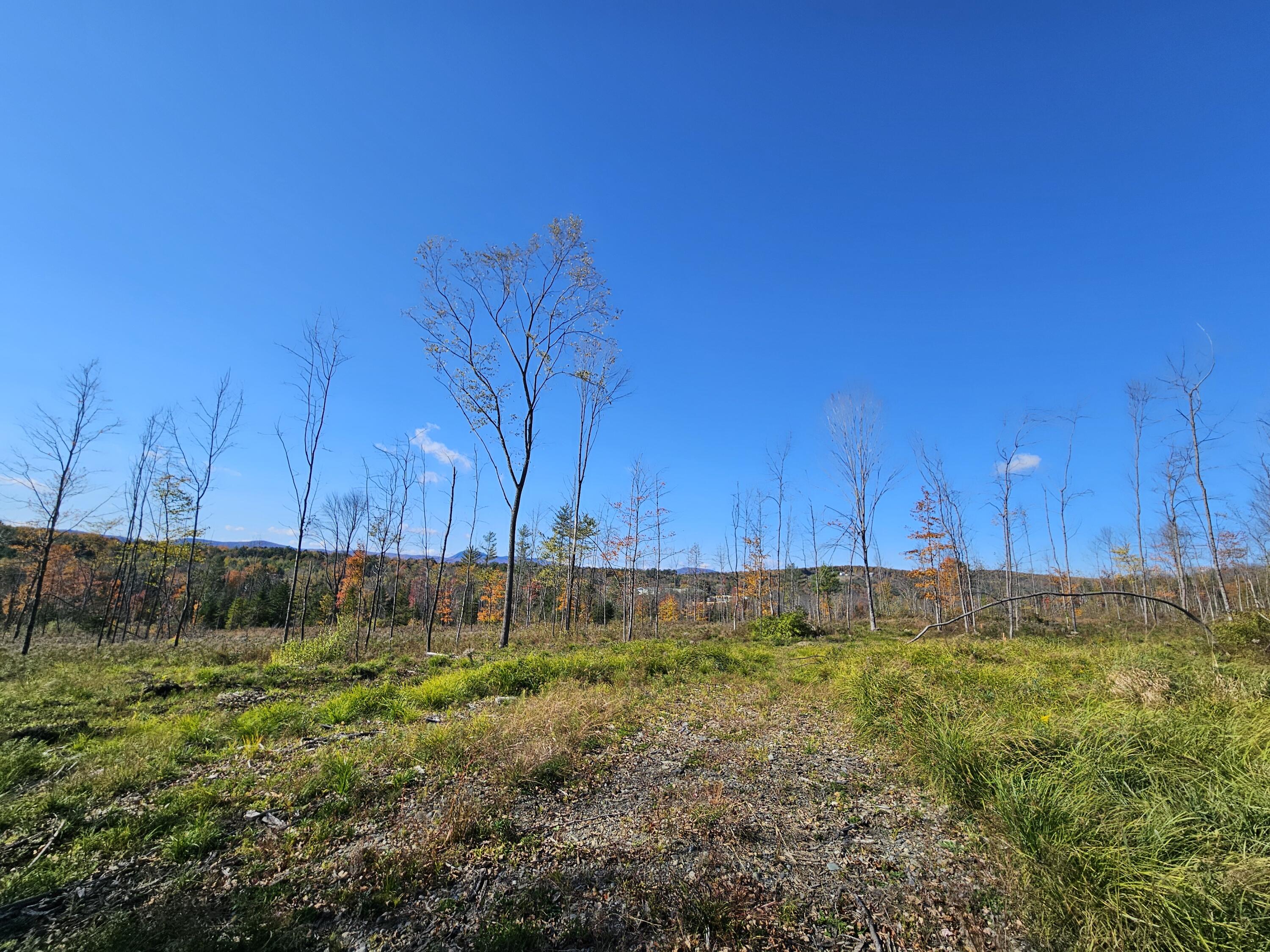 R11-033-4 Bailey Hill Road Farmington, ME 04938 - Photo 4 of 24