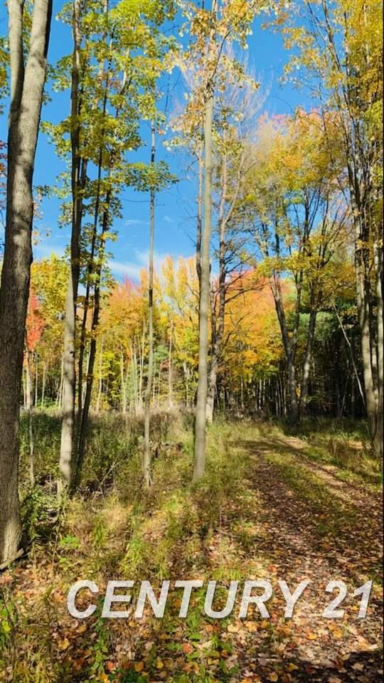 East Townline Road Bridgeport, MI 48722 - Photo 2 of 8