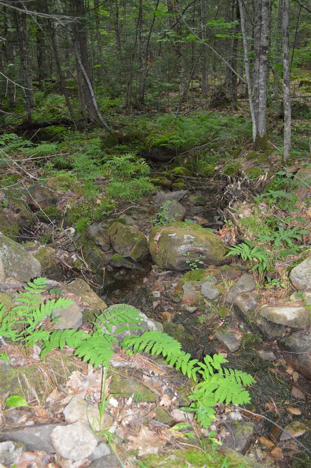 1 North Line Road Wolfeboro, NH 03894 - Photo 11 of 12