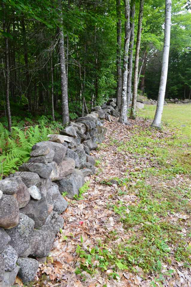 1 North Line Road Wolfeboro, NH 03894 - Photo 12 of 12