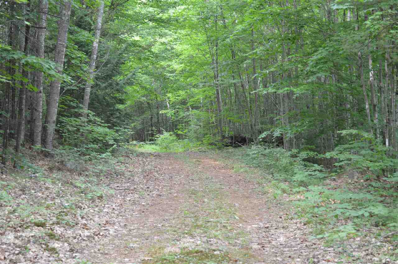 1 North Line Road Wolfeboro, NH 03894 - Photo 5 of 12