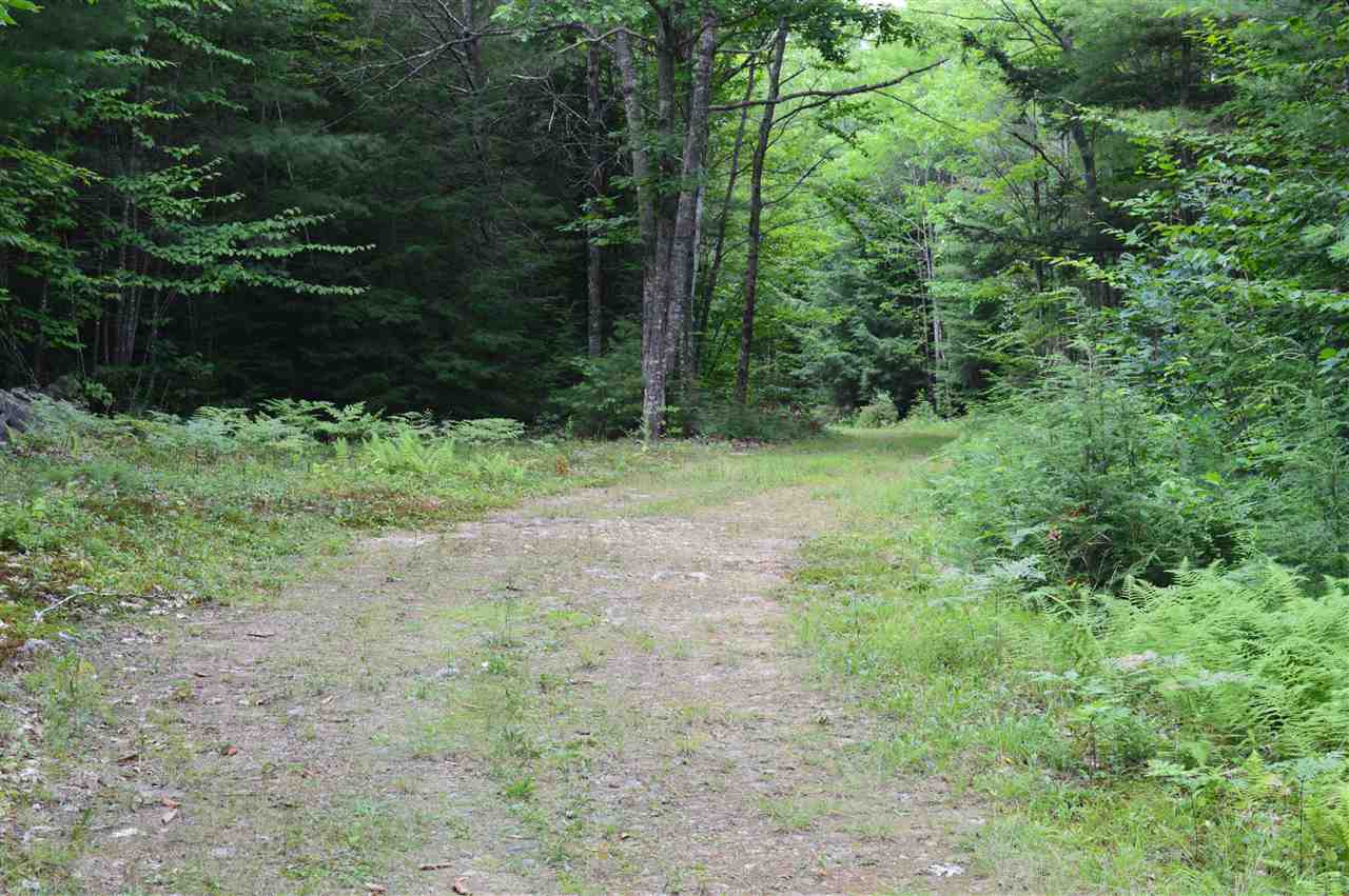1 North Line Road Wolfeboro, NH 03894 - Photo 6 of 12