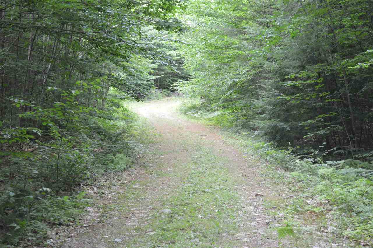 1 North Line Road Wolfeboro, NH 03894 - Photo 7 of 12