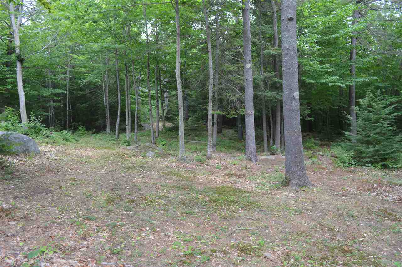 1 North Line Road Wolfeboro, NH 03894 - Photo 8 of 12