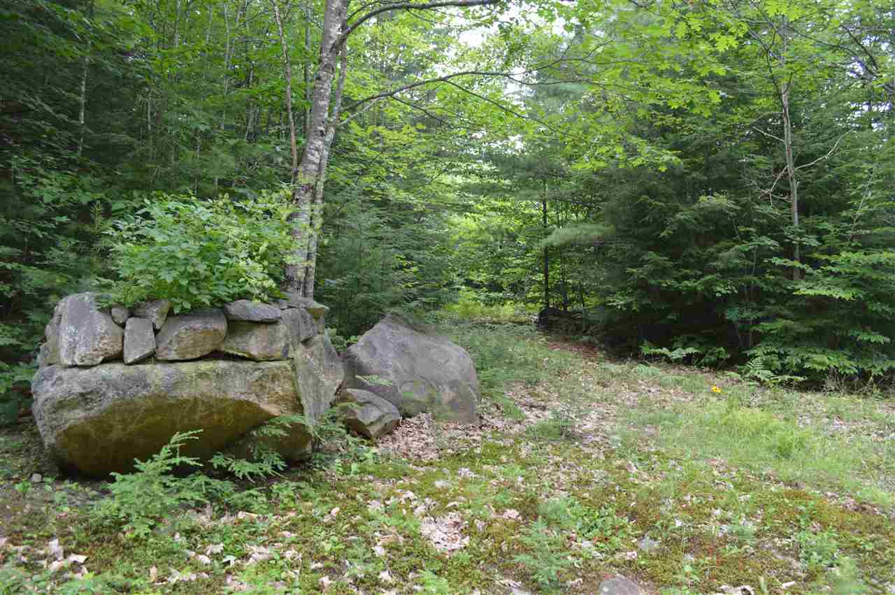 1 North Line Road Wolfeboro, NH 03894 - Photo 9 of 12