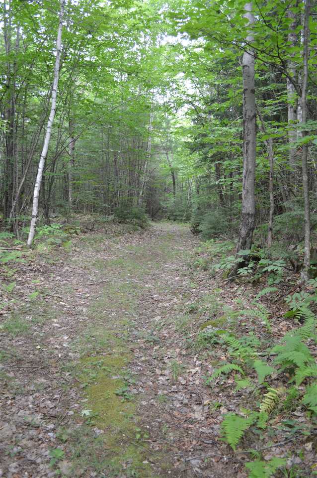 1 North Line Road Wolfeboro, NH 03894 - Photo 10 of 12