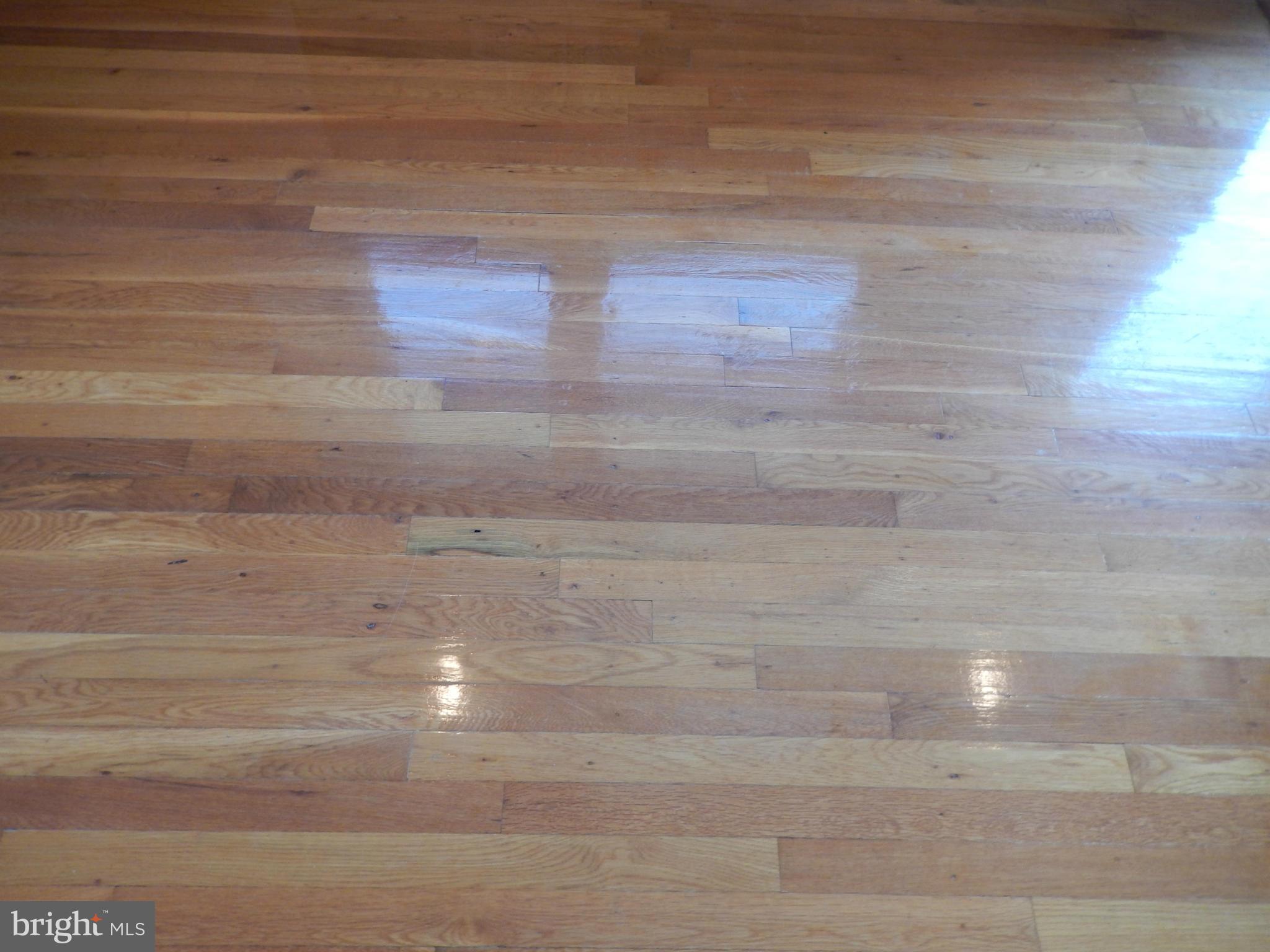 5680 Arnhem Road Baltimore, MD 21206 - Photo 18 of 30 Living Room