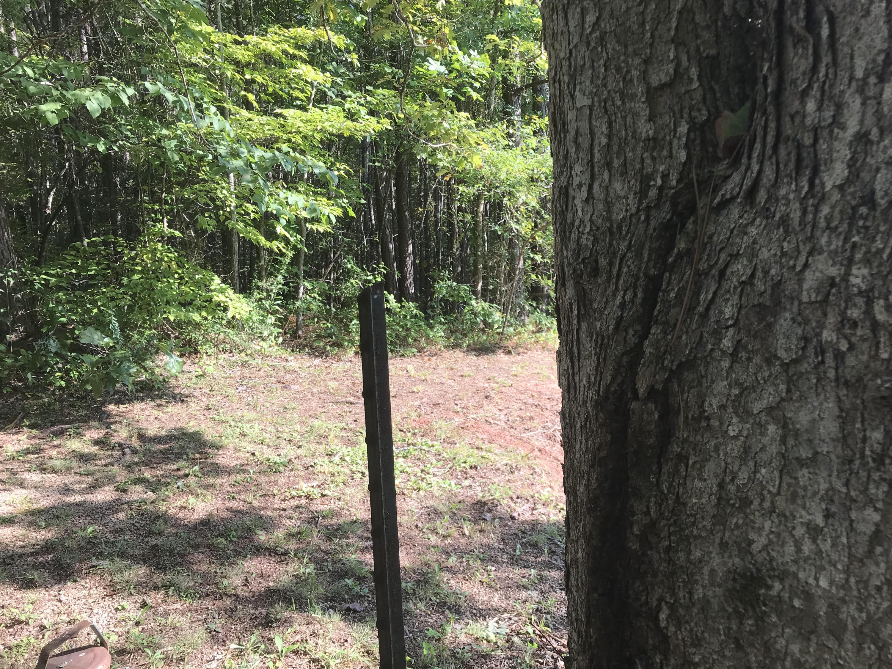 1 Mt Pleasant Road Vonore, TN 37885 - Photo 6 of 8 Mt. Pleasant Pic 7