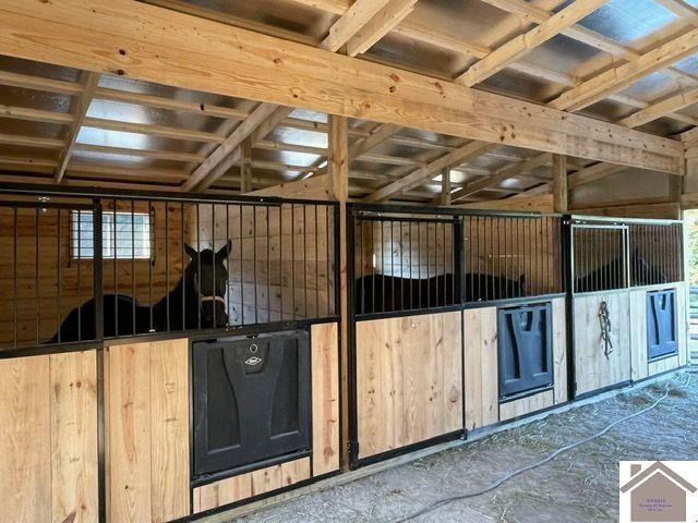782 Bid Southern Road Tiline, KY 42083 - Photo 23 of 47 Barn interior