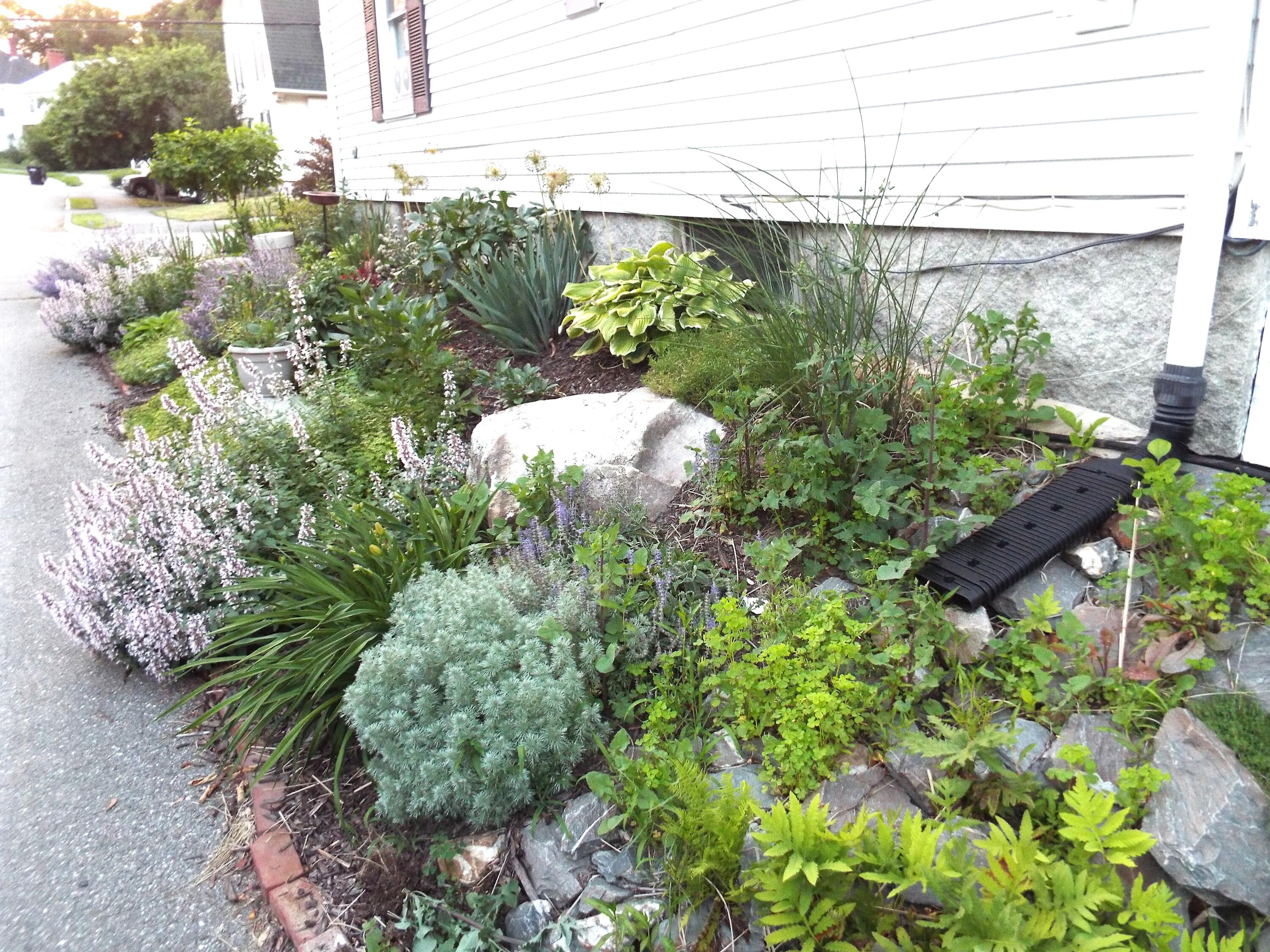 48 6th Street Bangor, ME 04401 - Photo 3 of 55 Moscone 3