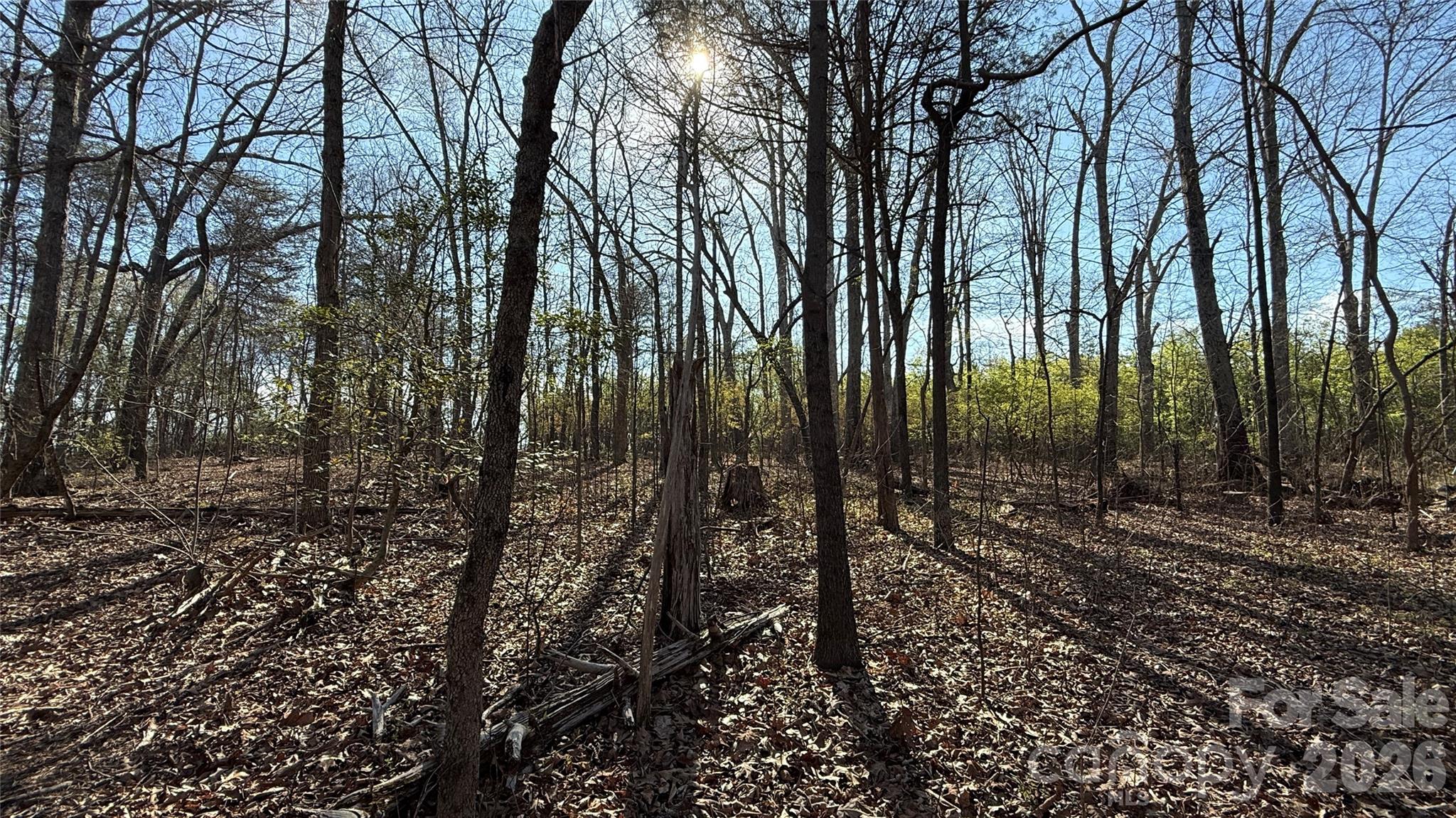 1361 Zeb Haynes Road, Unit 2 Maiden, NC 28650 - Photo 2 of 6