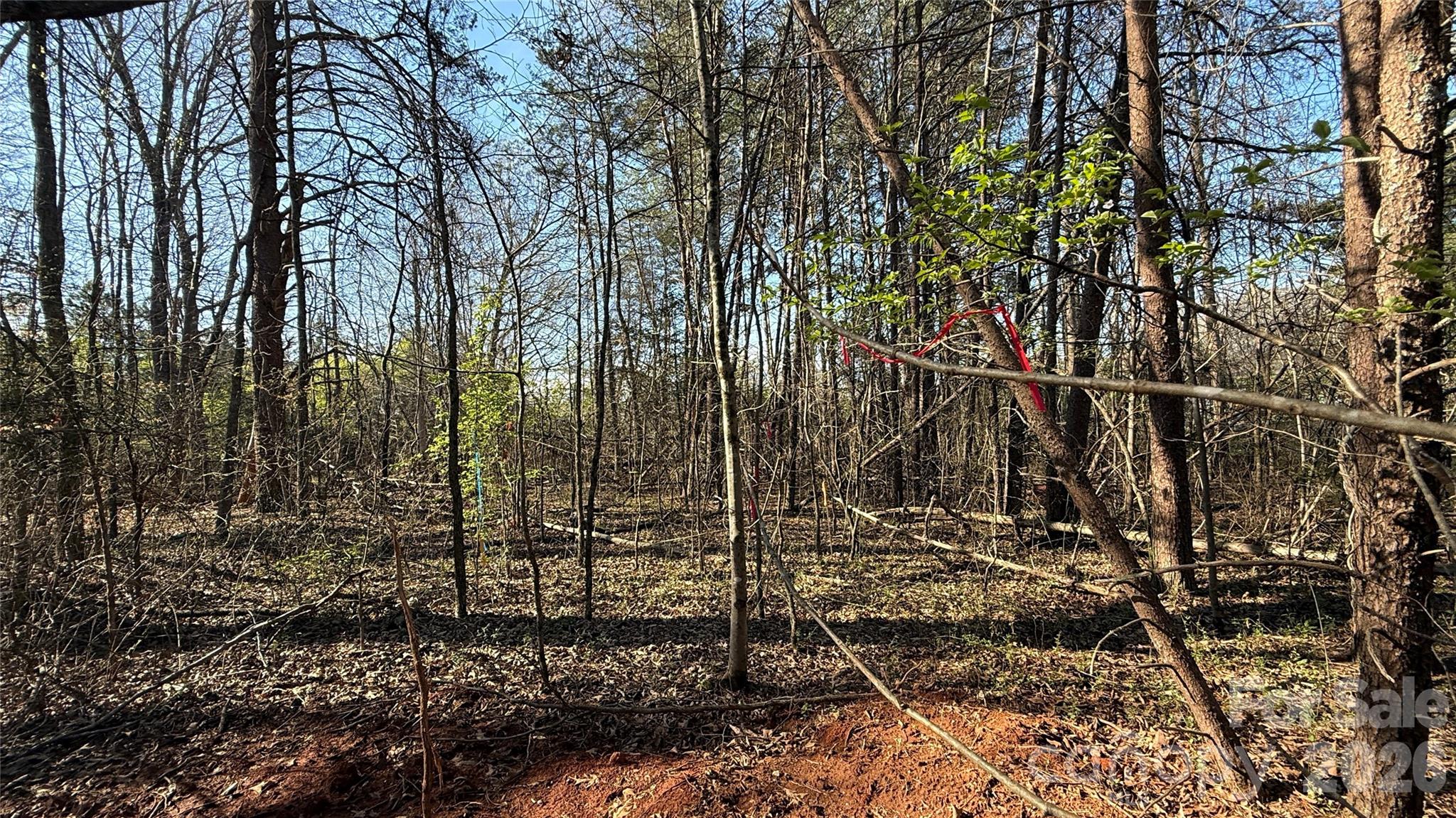 1361 Zeb Haynes Road, Unit 2 Maiden, NC 28650 - Photo 3 of 6