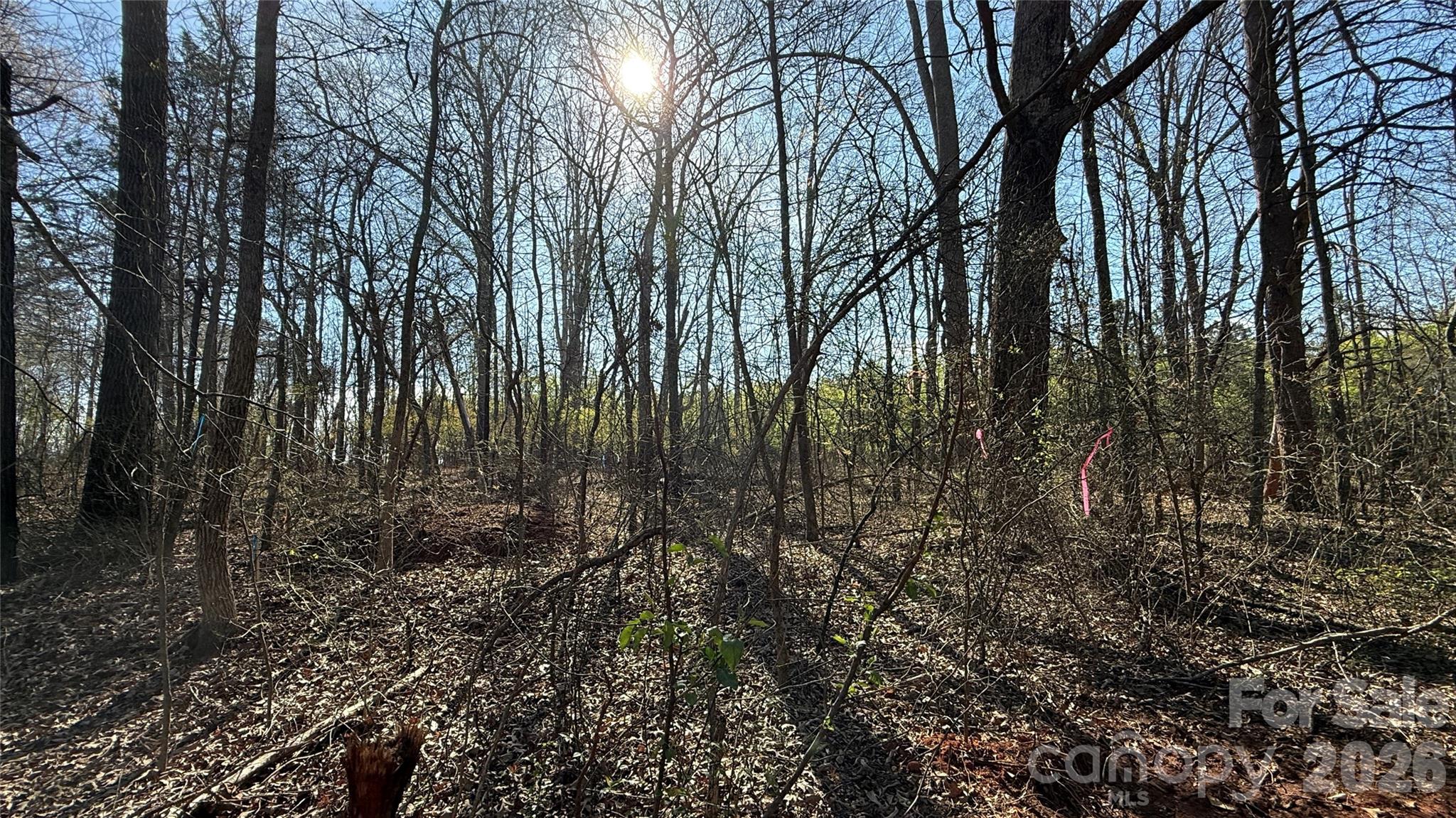 1361 Zeb Haynes Road, Unit 2 Maiden, NC 28650 - Photo 4 of 6