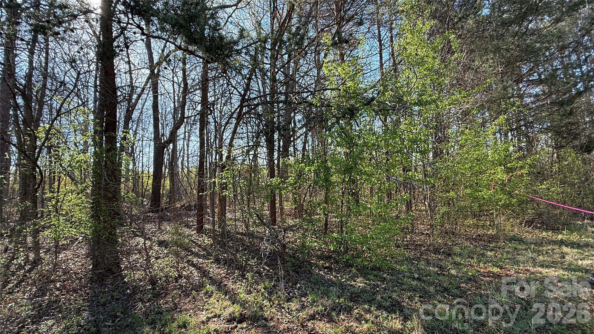 1361 Zeb Haynes Road, Unit 2 Maiden, NC 28650 - Photo 5 of 6