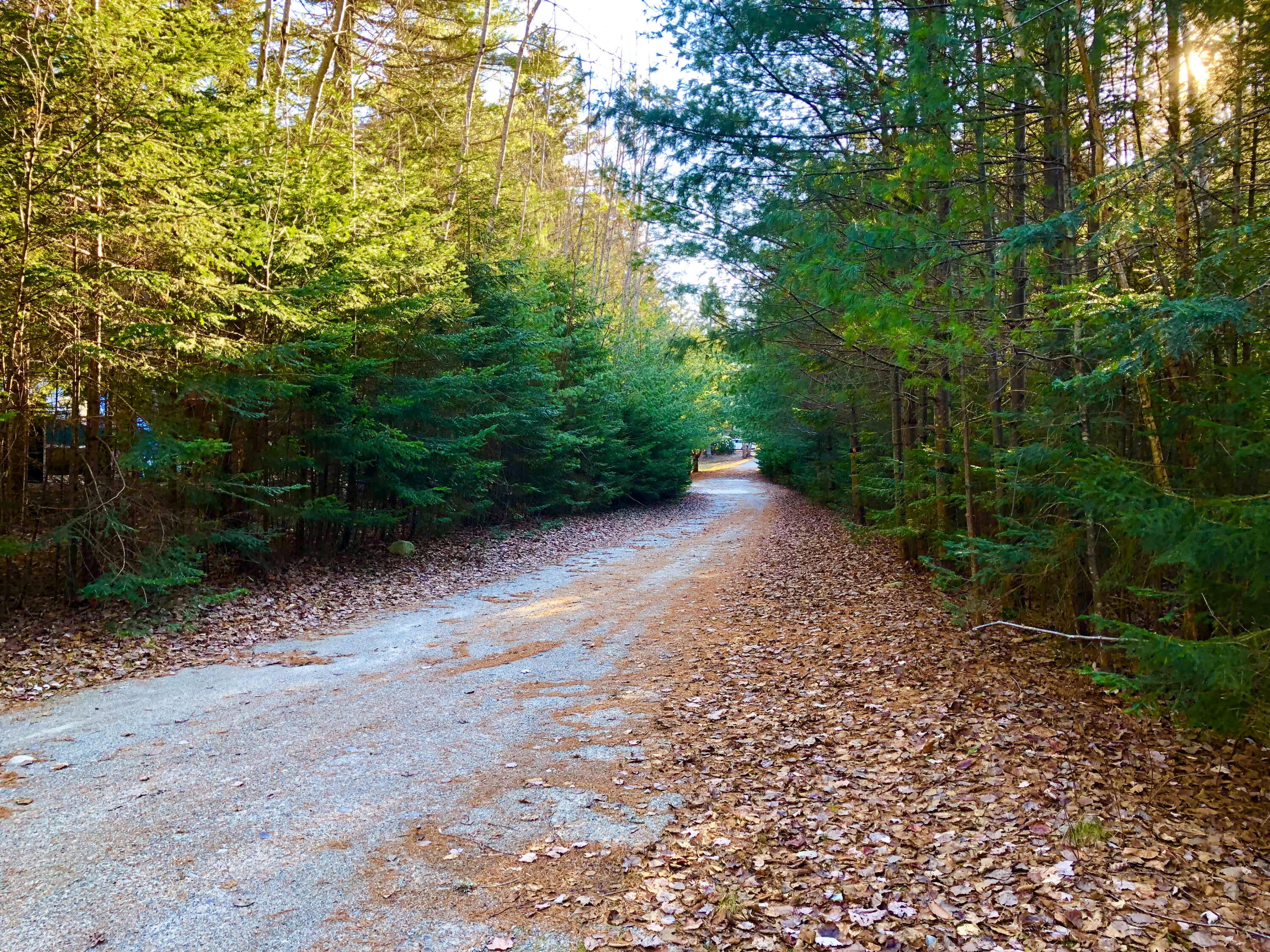 79 Mill Road Lamoine, ME 04605 - Photo 4 of 25 Driveway