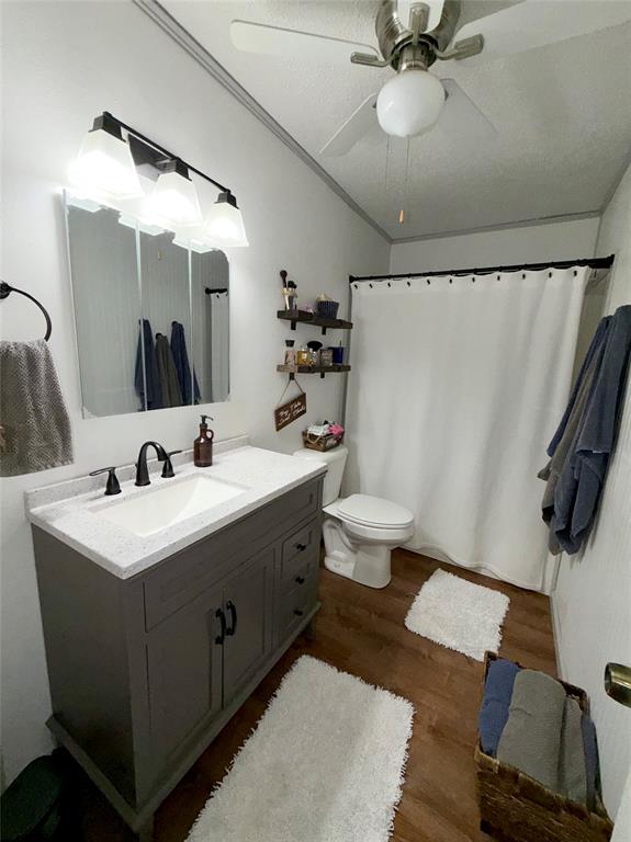7615 Farm To Market 1499 Sumner, TX 75486 - Photo 10 of 18 a bathroom with a sink vanity mirror and toilet