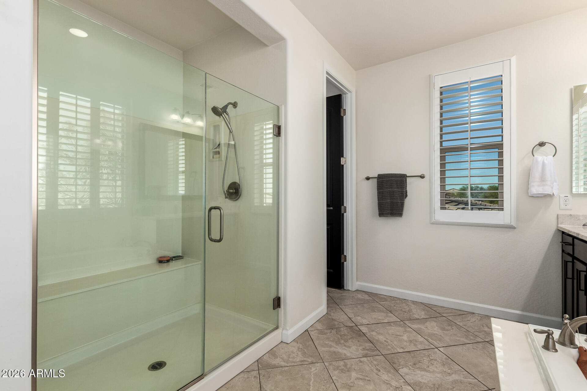 22116 East Rosa Road Queen Creek, AZ 85142 - Photo 23 of 48 Primary Bathroom View C