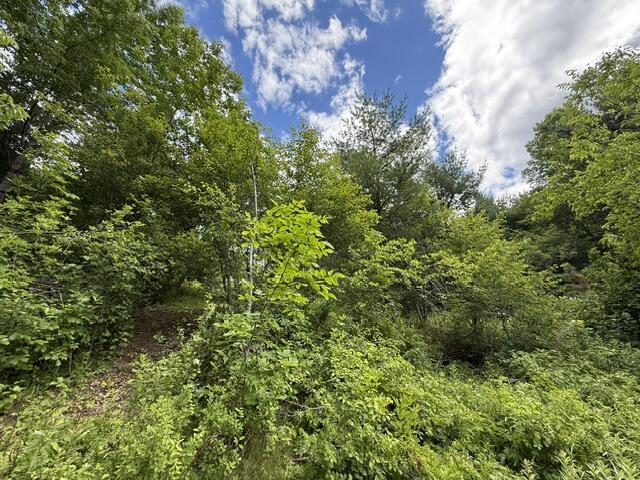 866 Main Street Meddybemps, ME 04657 - Photo 105 of 116 IMG_1448