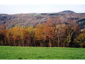 Lot-d Duck Pond Road Barton, VT 05822 - Photo 3 of 4