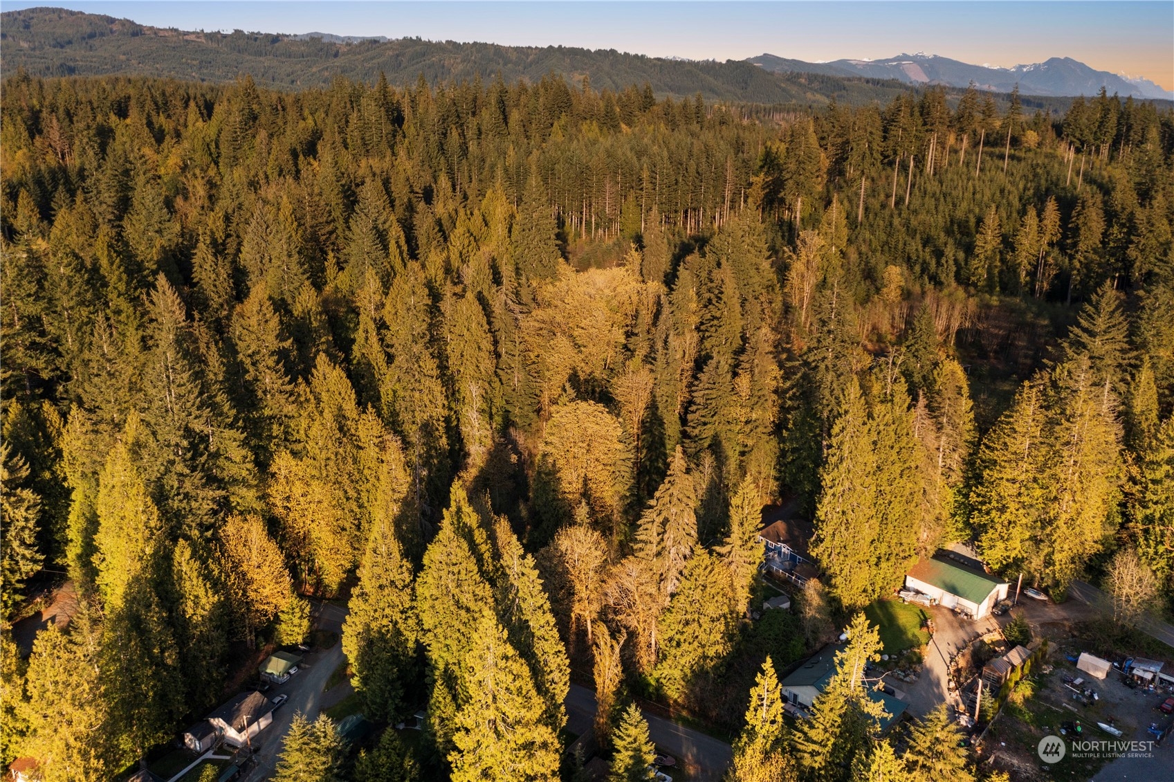 625 South Tulloch Road Snohomish, WA 98290 - Photo 3 of 10 a view of mountain with trees in the background
