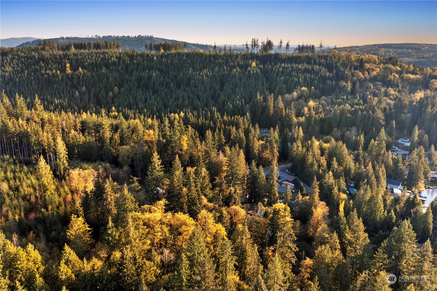 625 South Tulloch Road Snohomish, WA 98290 - Photo 6 of 10 a view of a bunch of trees