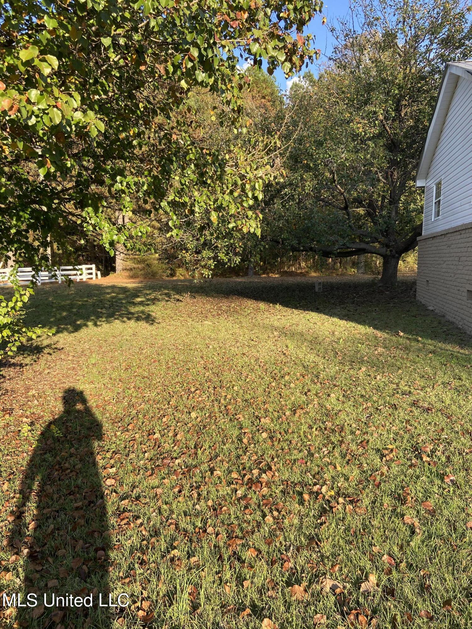 12090 Newton County Martin Road Collinsville, MS 39325 - Photo 19 of 22 IMG_3882