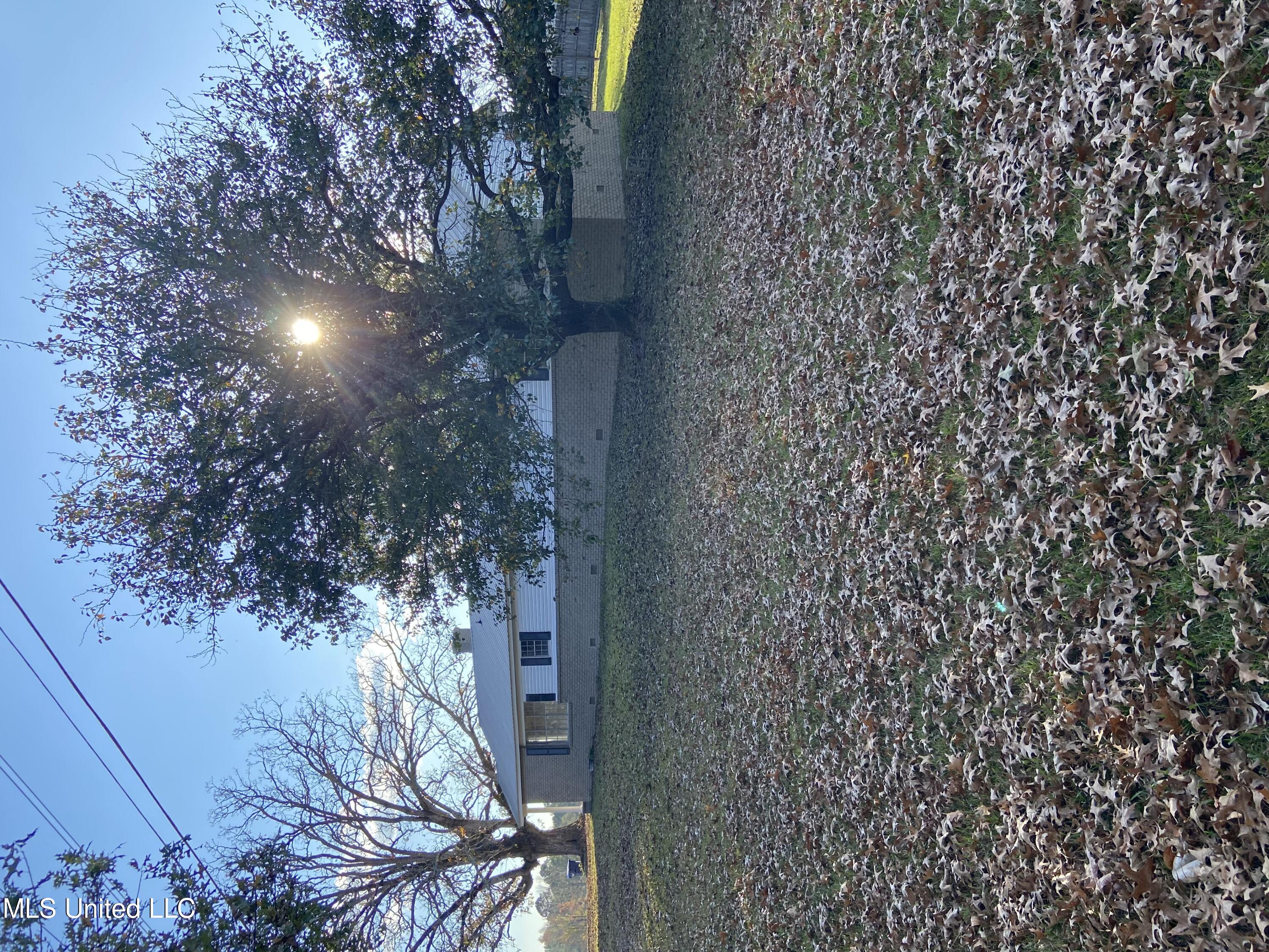 12090 Newton County Martin Road Collinsville, MS 39325 - Photo 20 of 22 Back