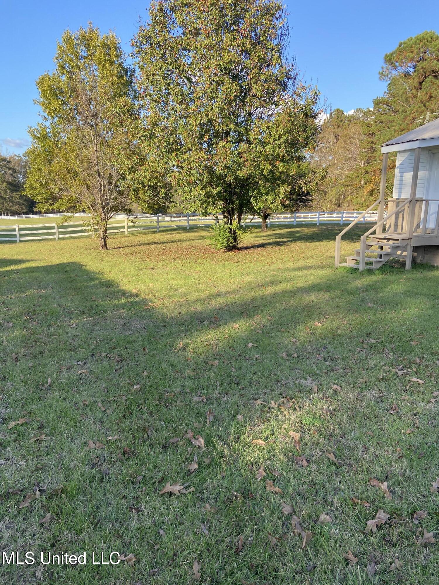 12090 Newton County Martin Road Collinsville, MS 39325 - Photo 3 of 22 IMG_3881