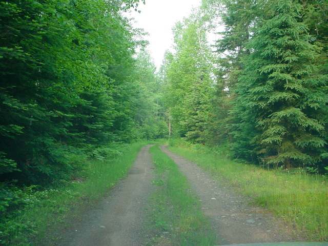 Parcel B Parcel B Enterprise Creek Road Rhinelander, WI 54501 - Photo 6 of 11 Gallery Image 6