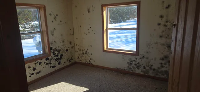 $59,900 | 10537 West Rosted Road, Lake City, MI 49651