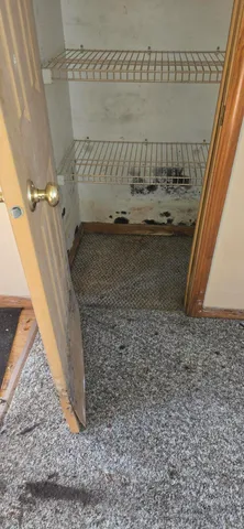 $59,900 | 10537 West Rosted Road, Lake City, MI 49651