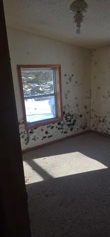 $59,900 | 10537 West Rosted Road, Lake City, MI 49651