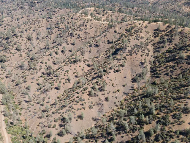 a view of a dry yard