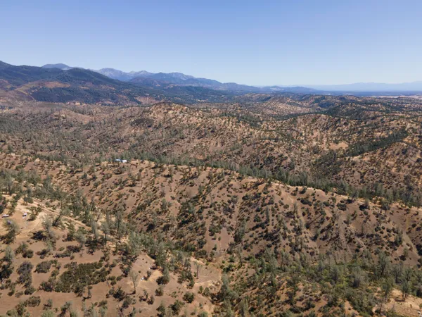 a view of a field