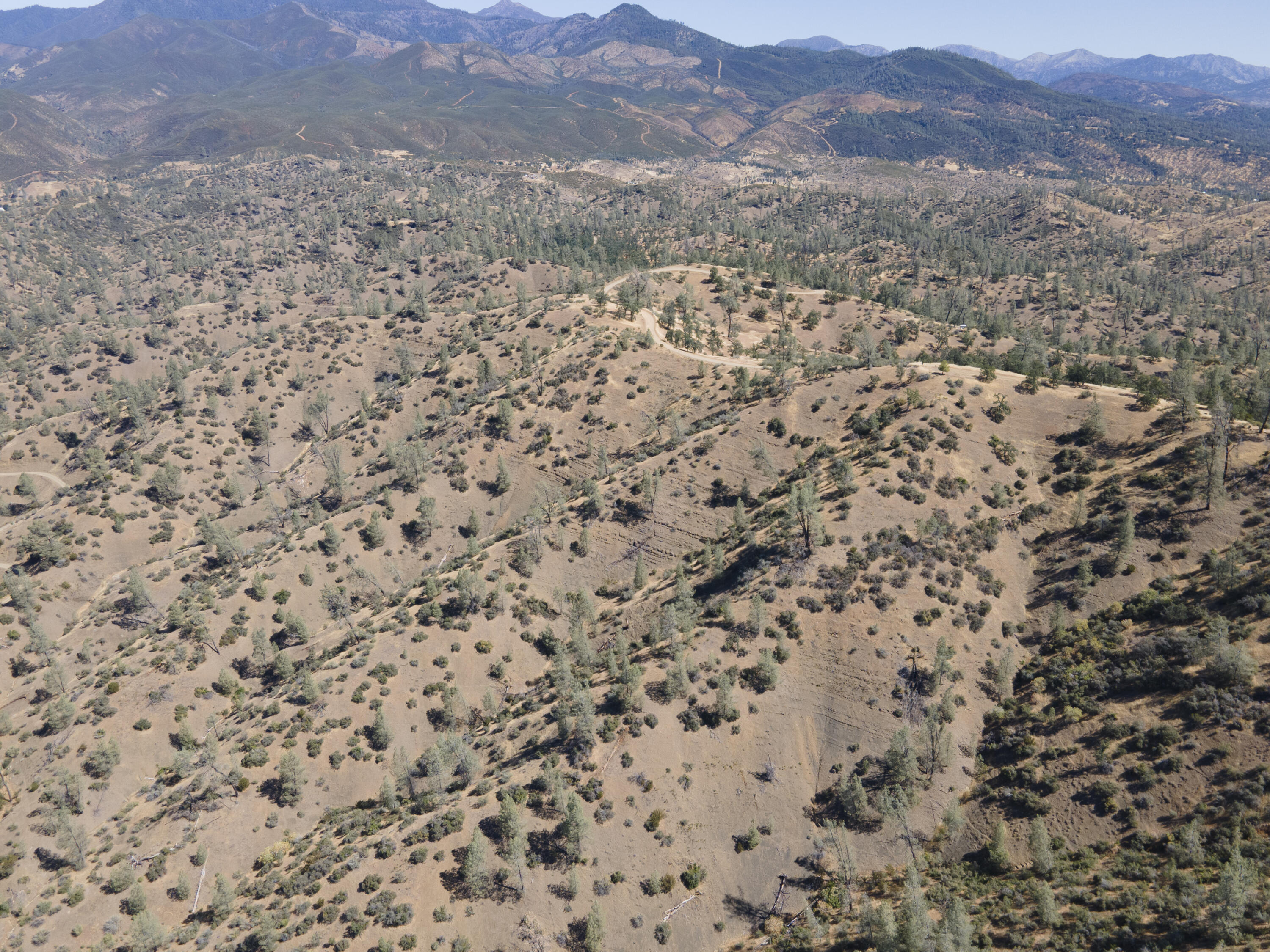 4100 Yolla Bolly Road Igo, CA 96047 - Photo 17 of 24 a view of a dry yard