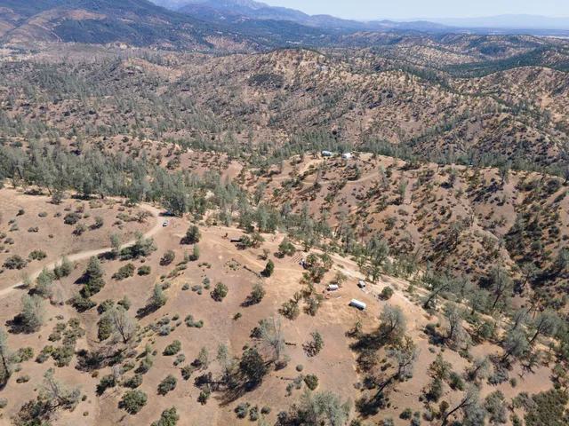 a close up of a plant