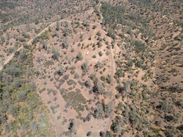 a view of a field with trees in the background