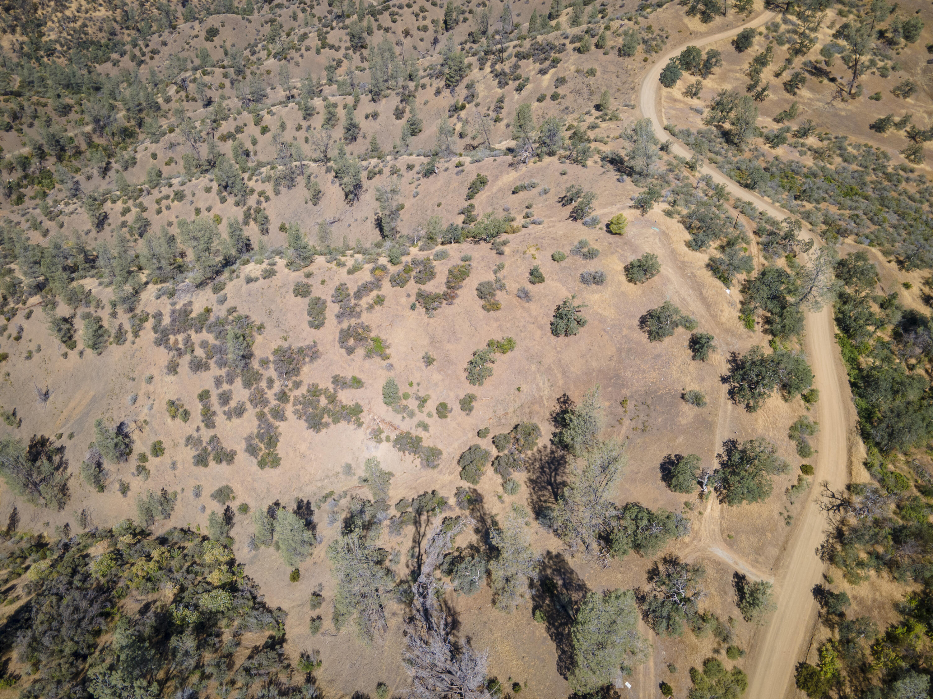 4100 Yolla Bolly Road Igo, CA 96047 - Photo 5 of 24 a bathroom with a shower curtain