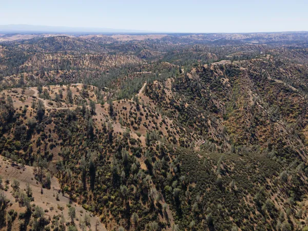 a view of a city with lush green forest