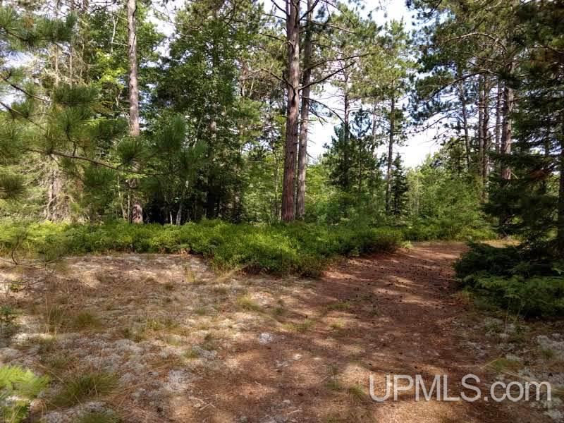 Unit 38-tbd Little Rice Lake Road, Unit 38 Lake Linden, MI 49945 - Photo 13 of 28