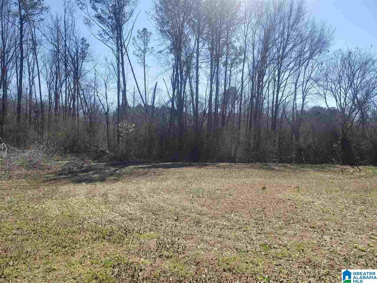 543 Odens Mill Road Sylacauga, AL 35150 - Photo 45 of 49